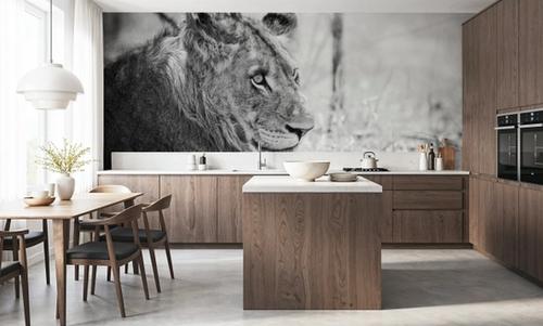 Young Lion BW