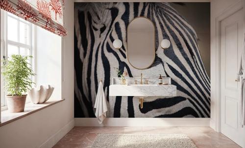 Zebra Face