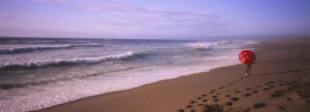 Crimson Stroll by the Shore