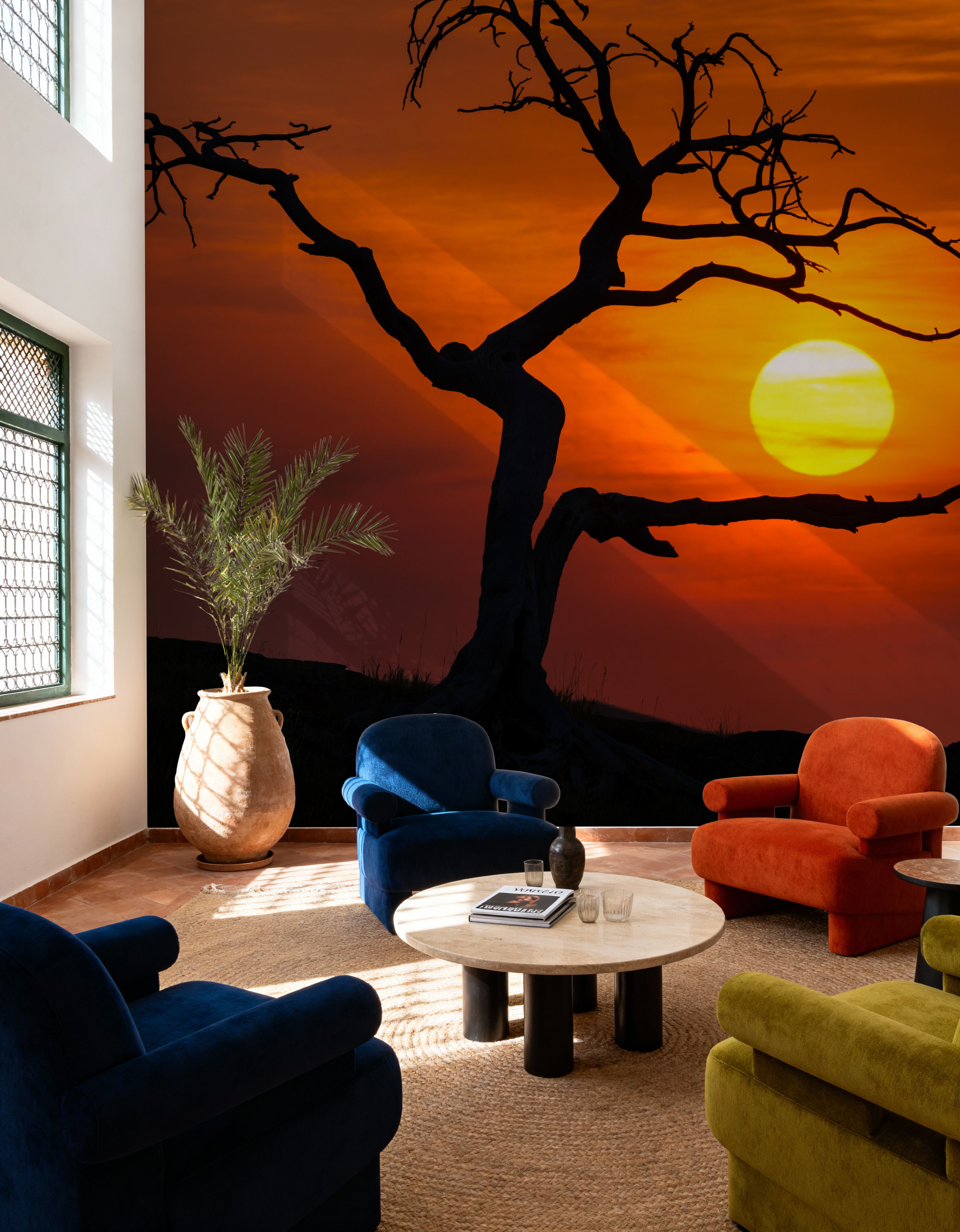 Pinus Flexilis Sunset