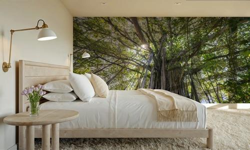 Banyan Tree