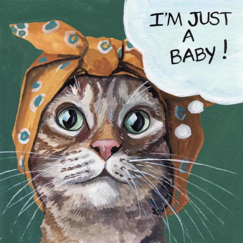 Just a Baby Cat