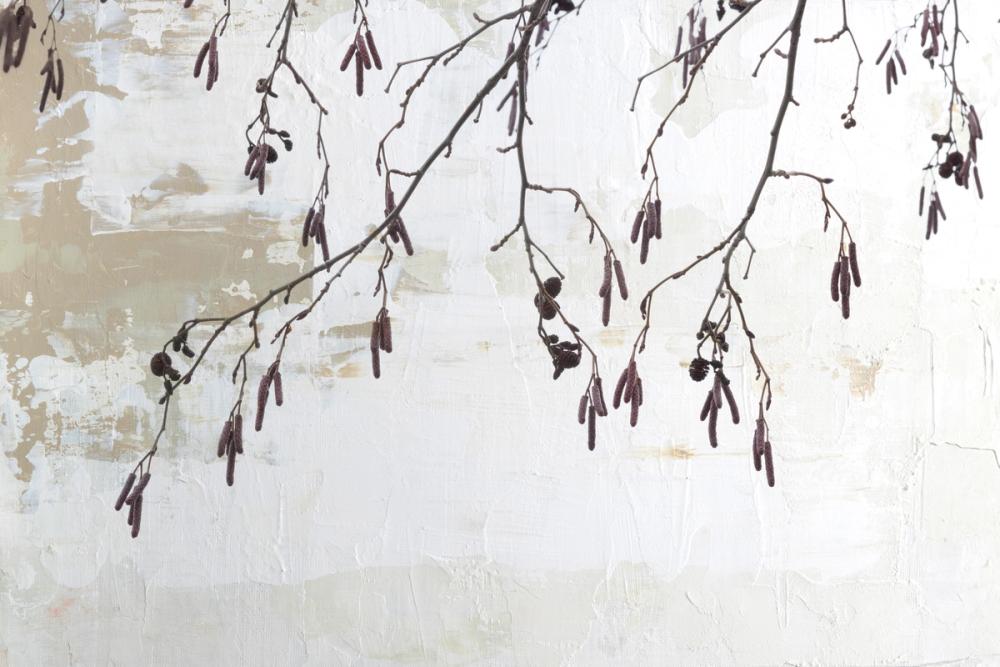 Catkins in Plaster I