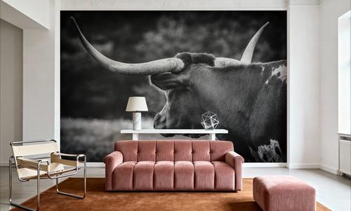 Longhorn Gaze II BW