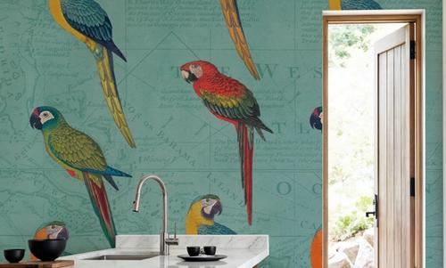Parrot Paradise III
