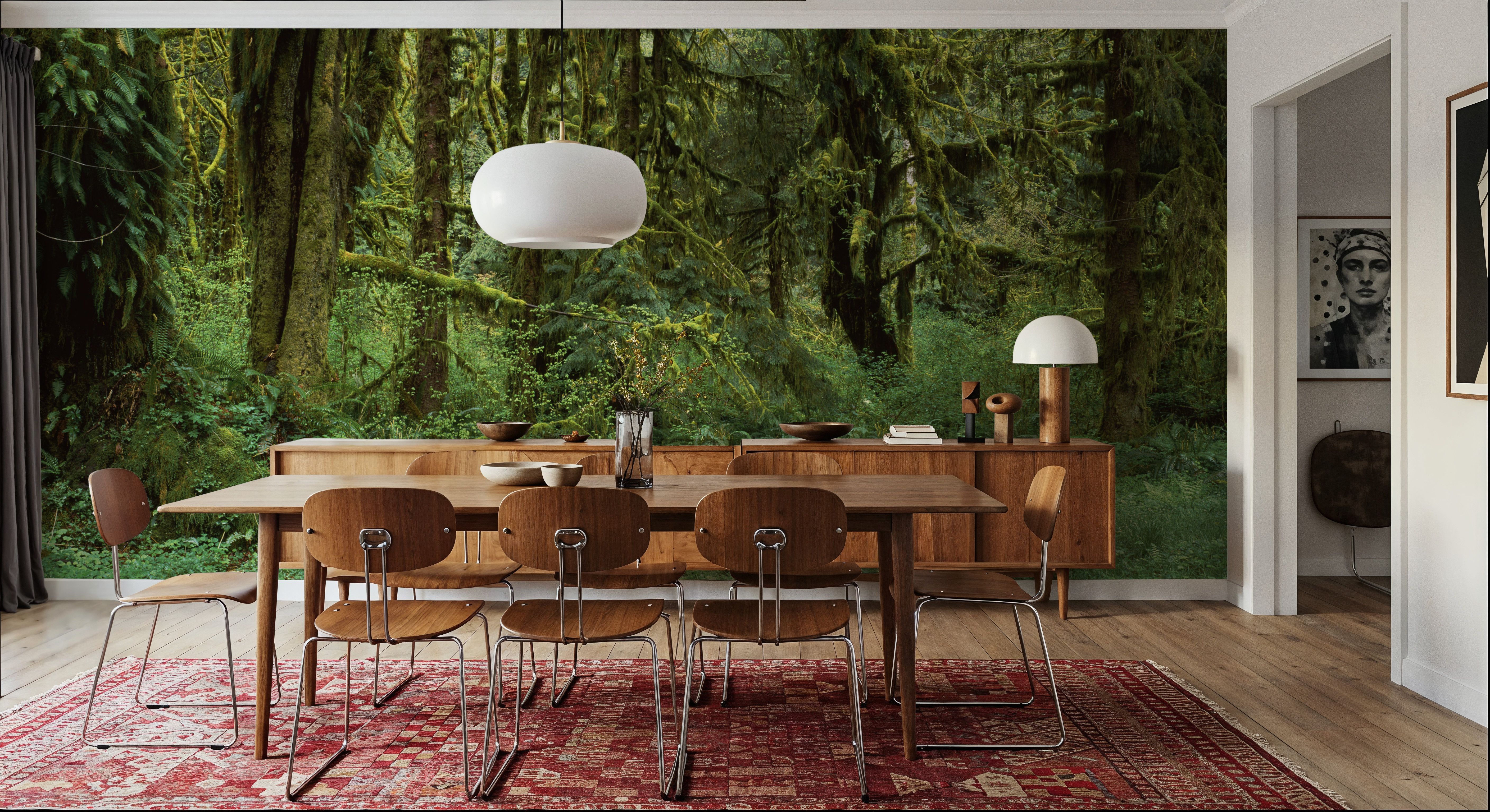 Hoh Rain Forest, Washington State, Wallpaper