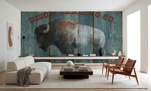 Bison Trading Co