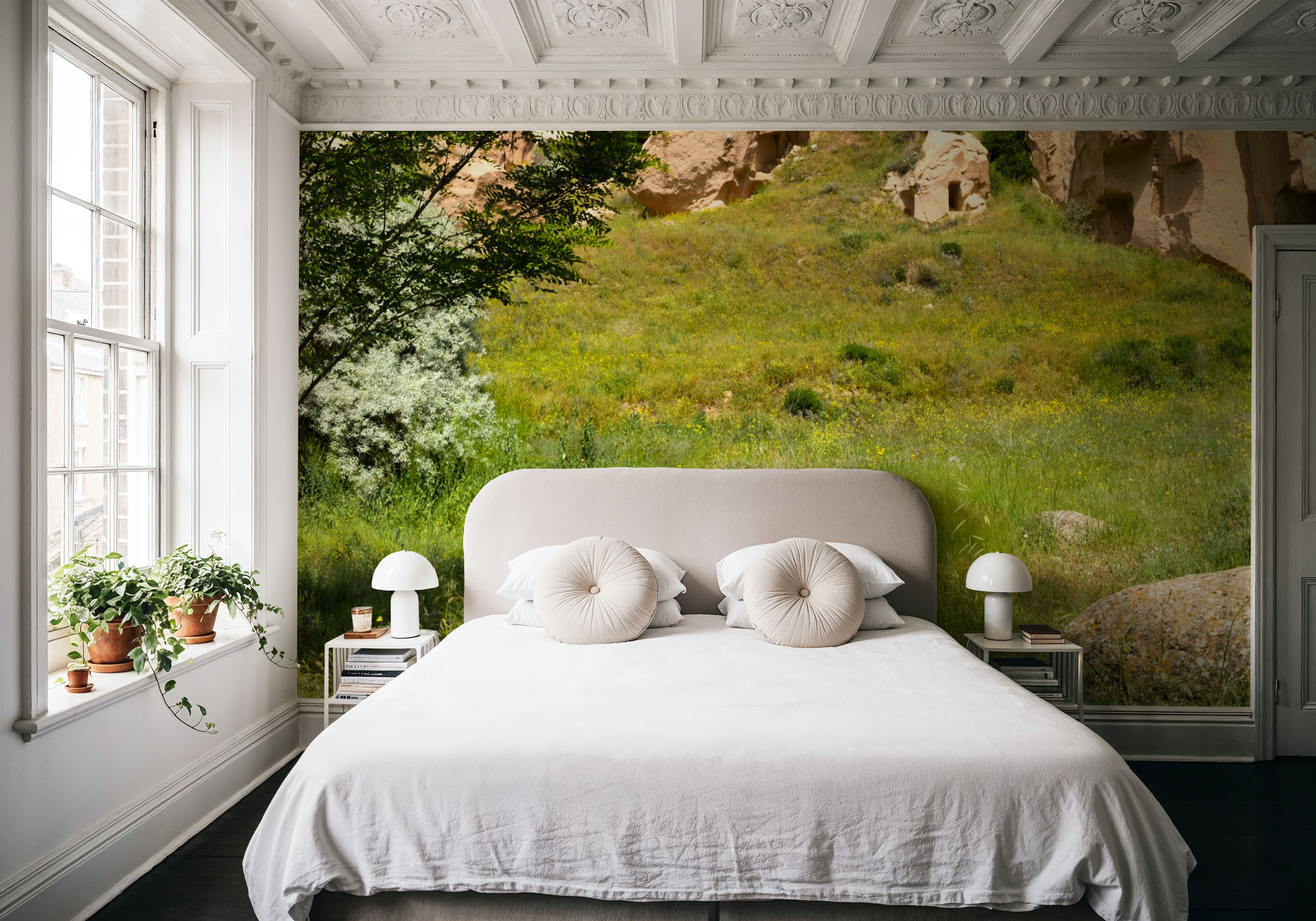 Purple Wildflower Canyon