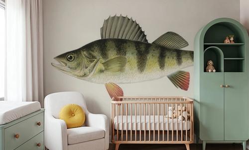 Barred Perch