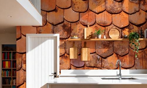 Terracotta Scales
