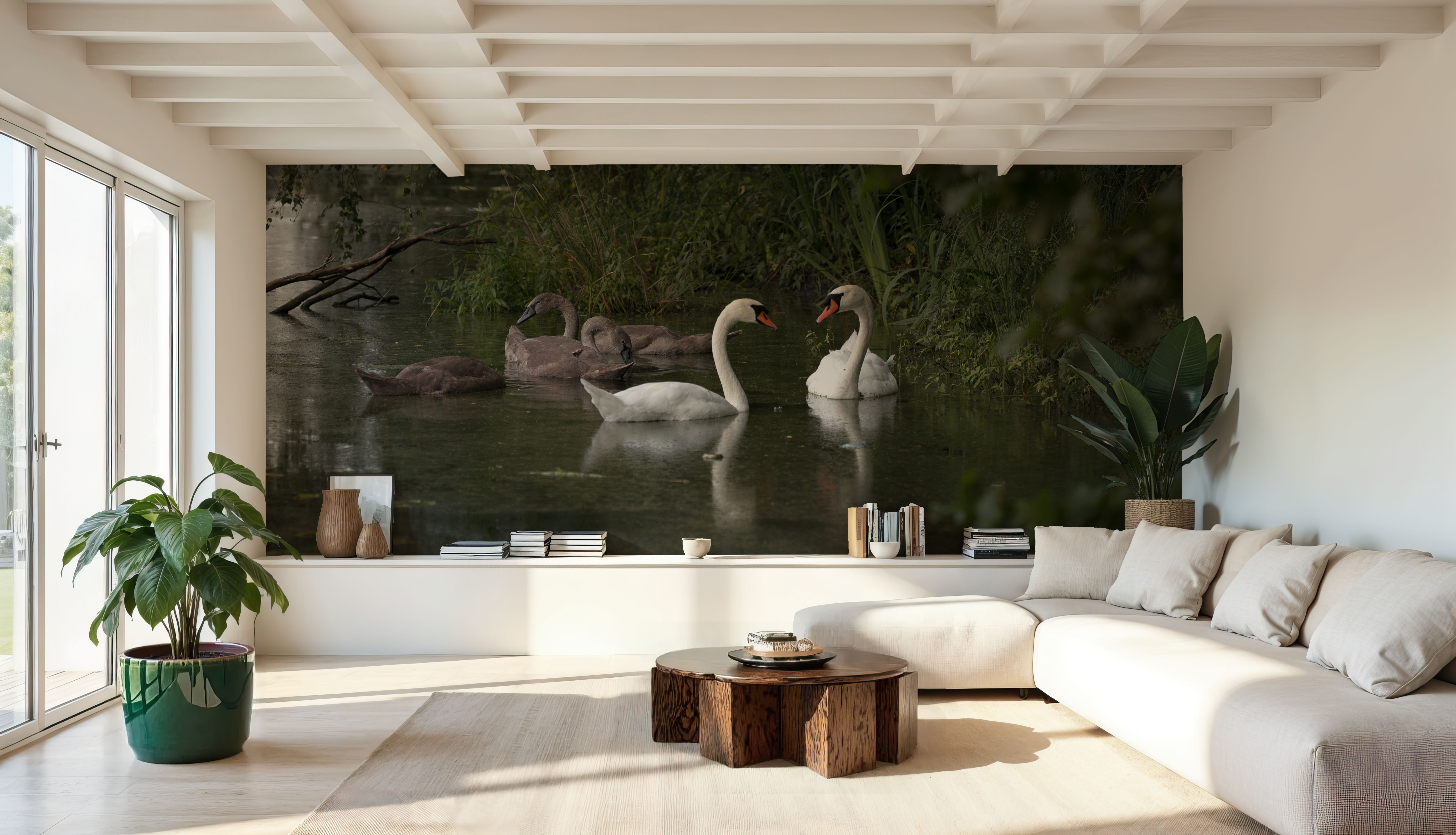 Swans Family