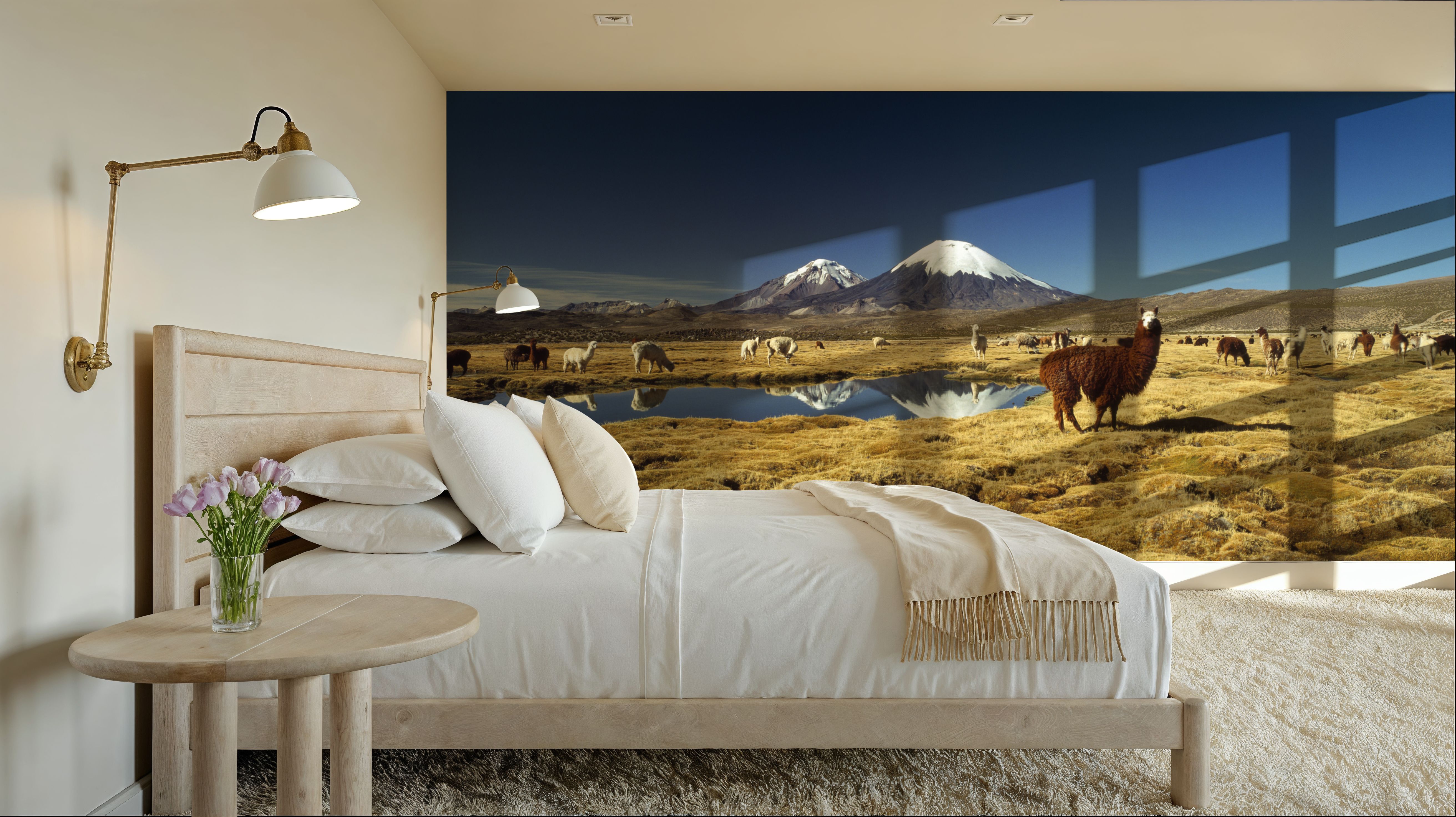 Andean Serenity