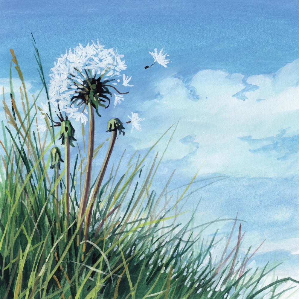 Spring Breeze