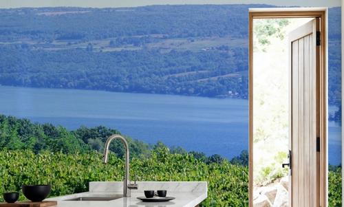 Vineyard Vista