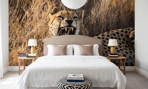 Big Yawn II