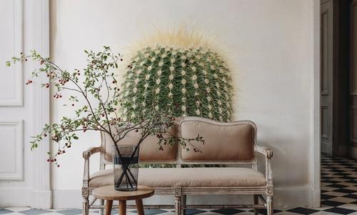 Desert Treasures I