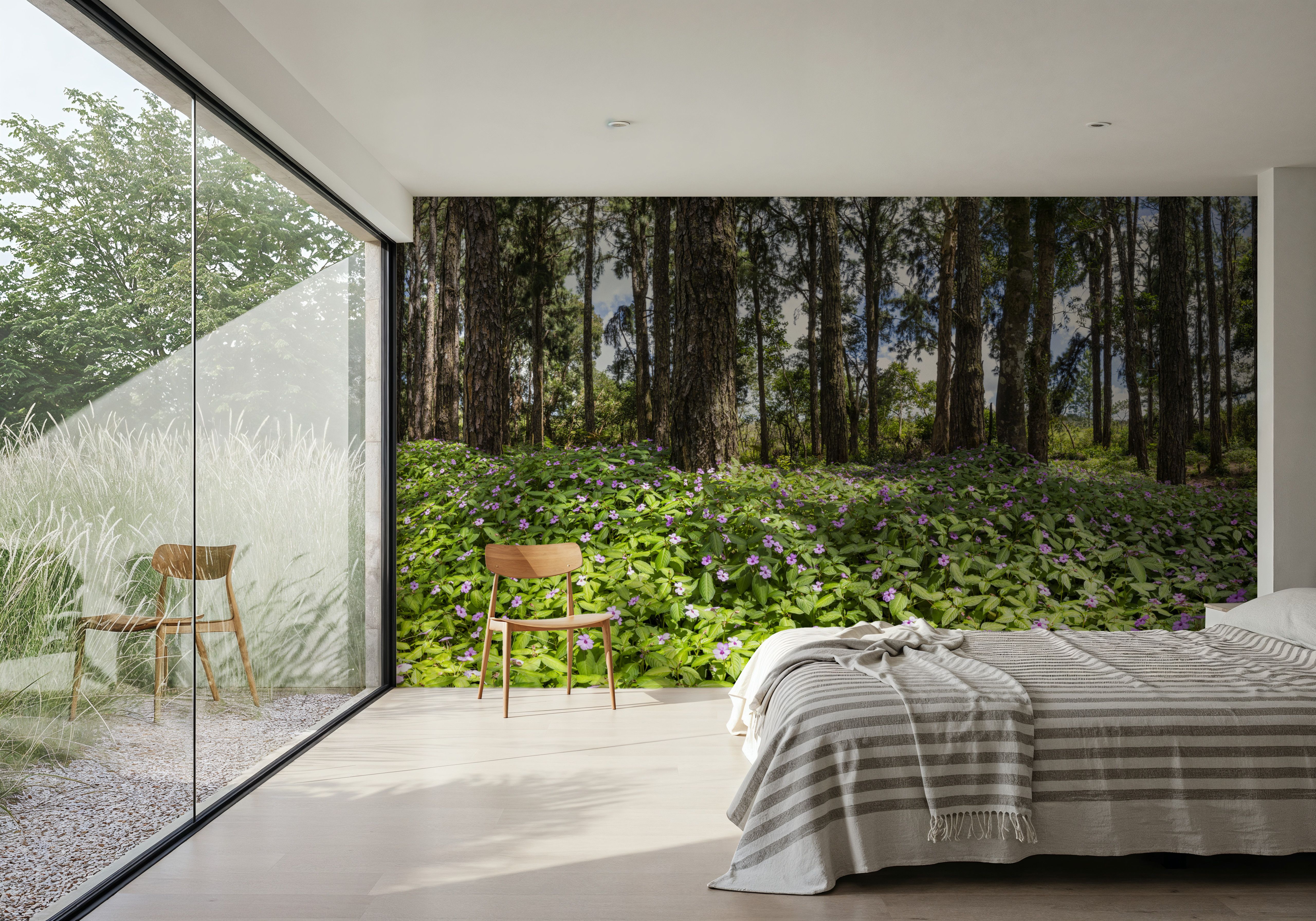 Eucalyptus Woods