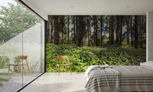 Eucalyptus Woods