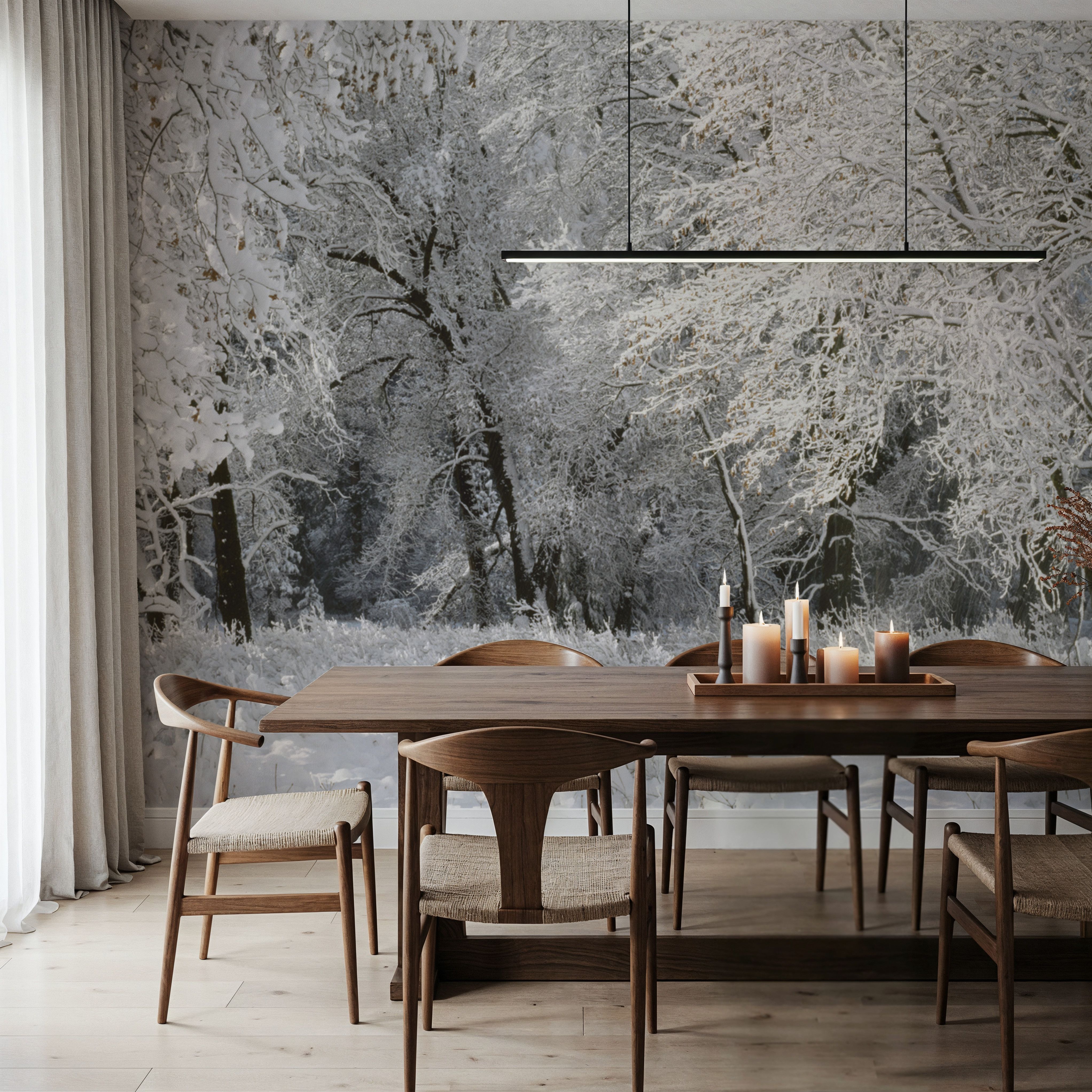 Frost-Laden Forest