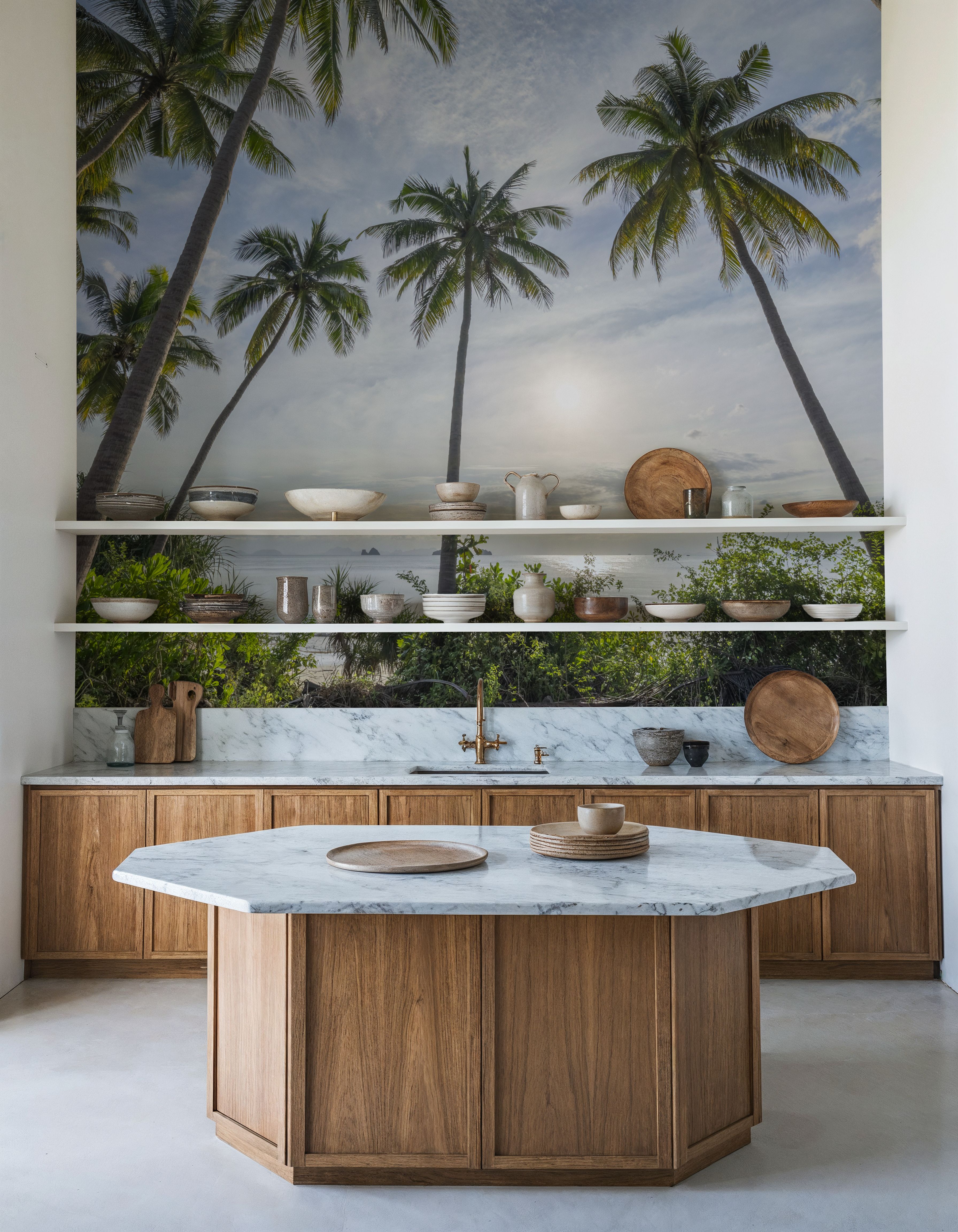 Palm Horizon