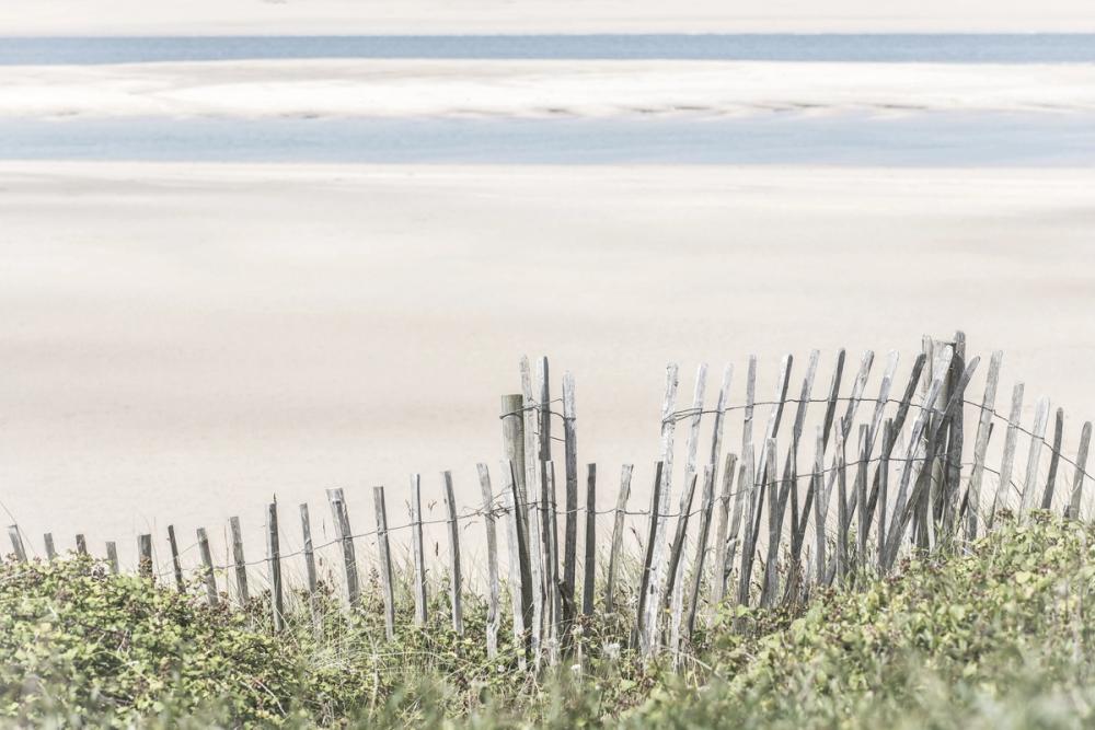 Coastal Fence I