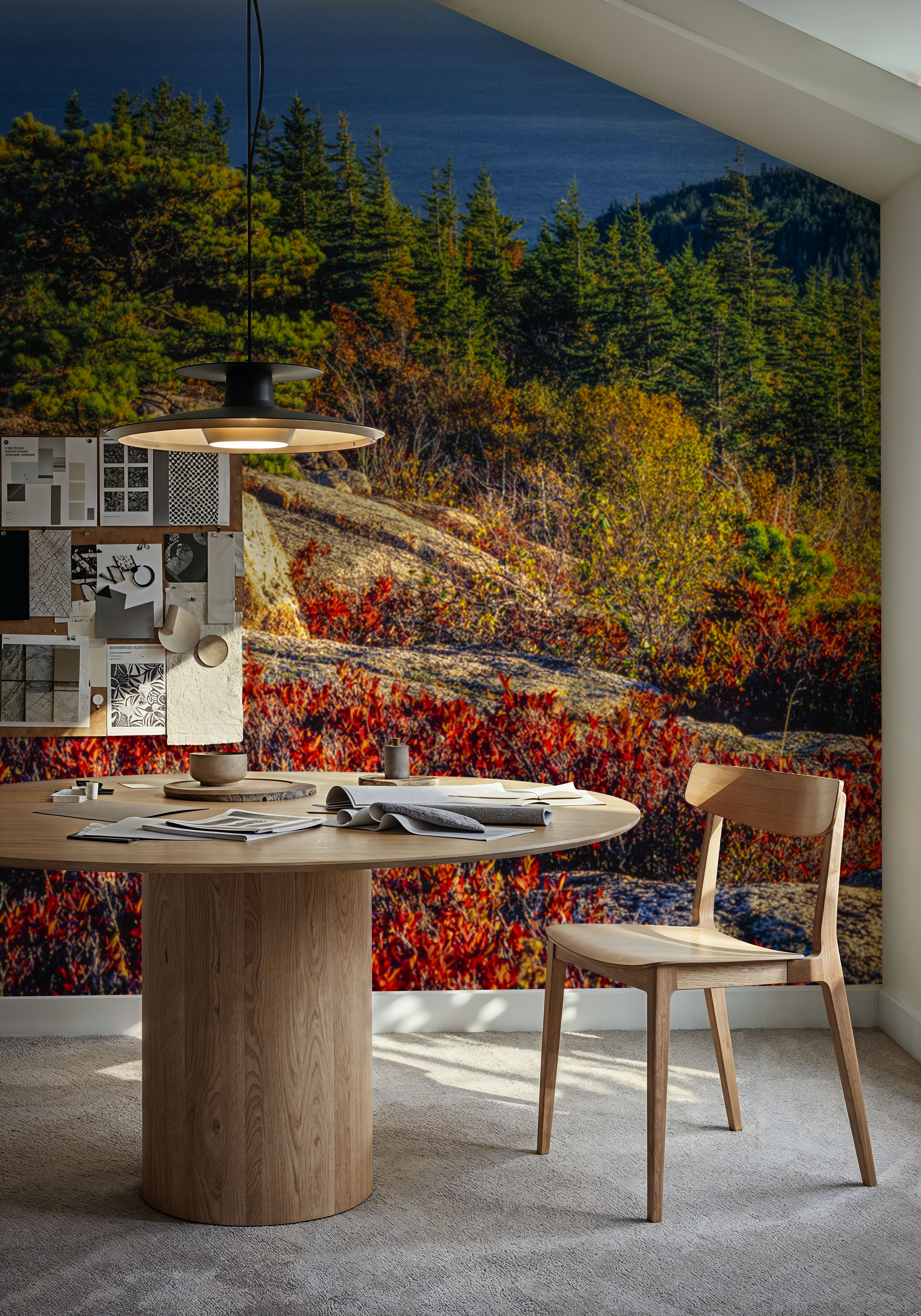 Acadia National Park