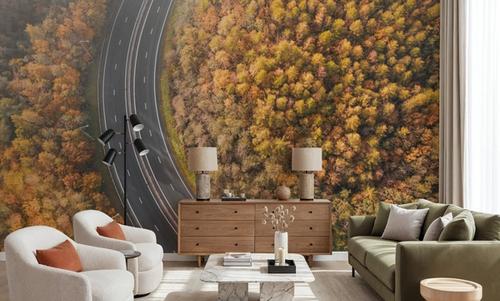 Autumn Canopy Road