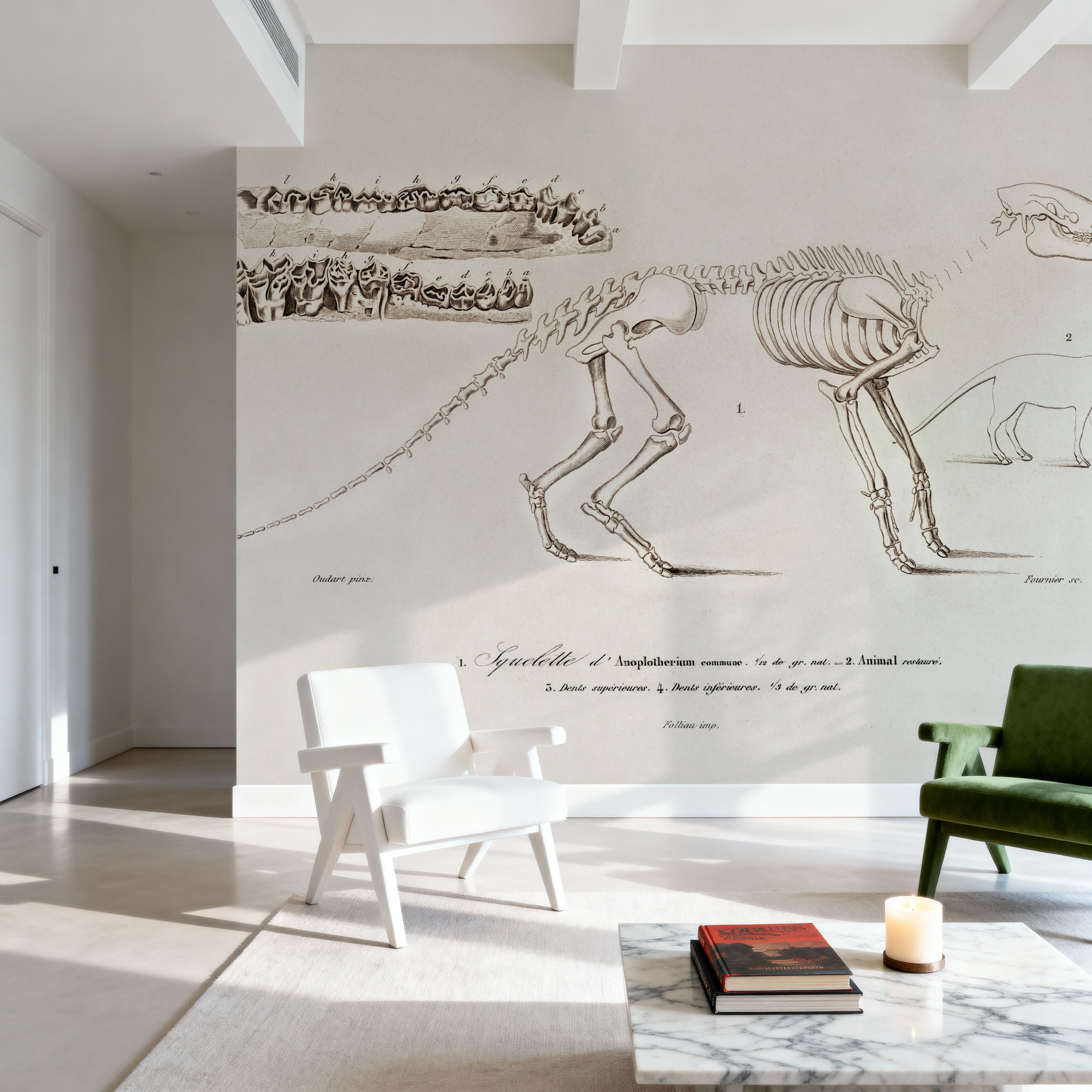 Ungulate Illustrated