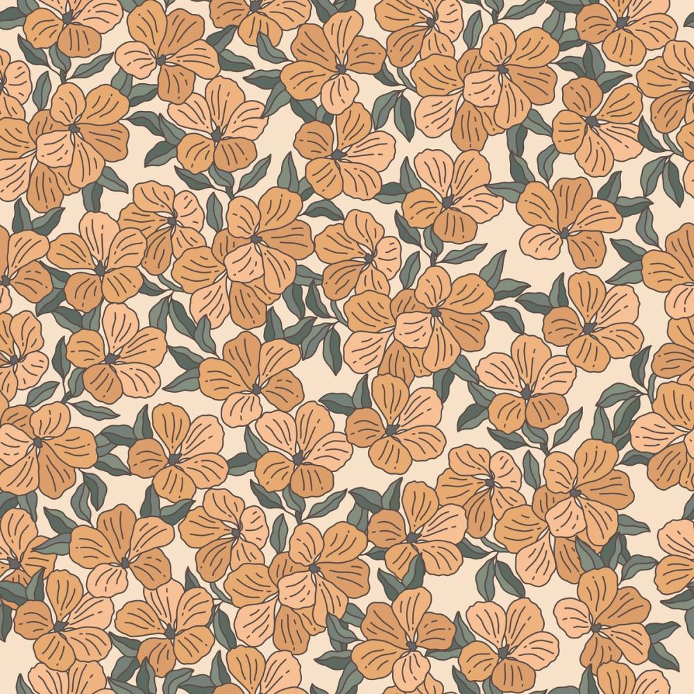 Cinquefoil Peach