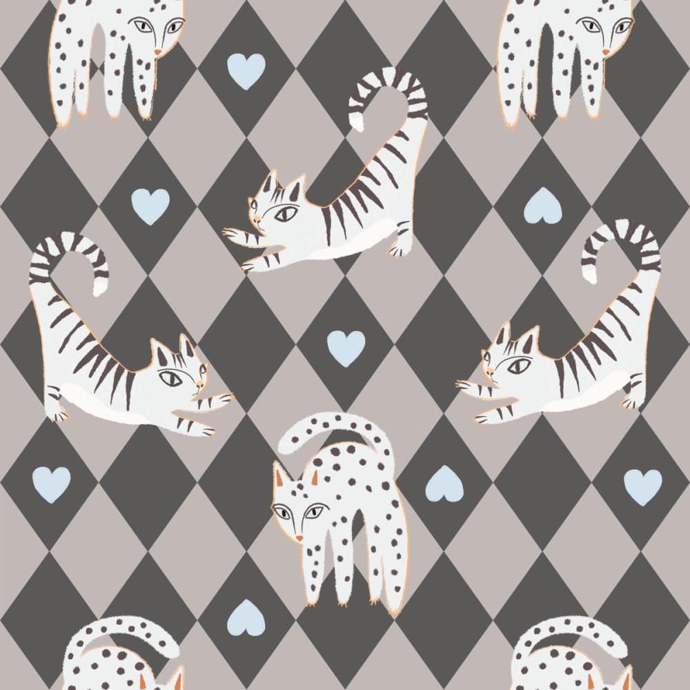 Harlequin Kittens, Shadow