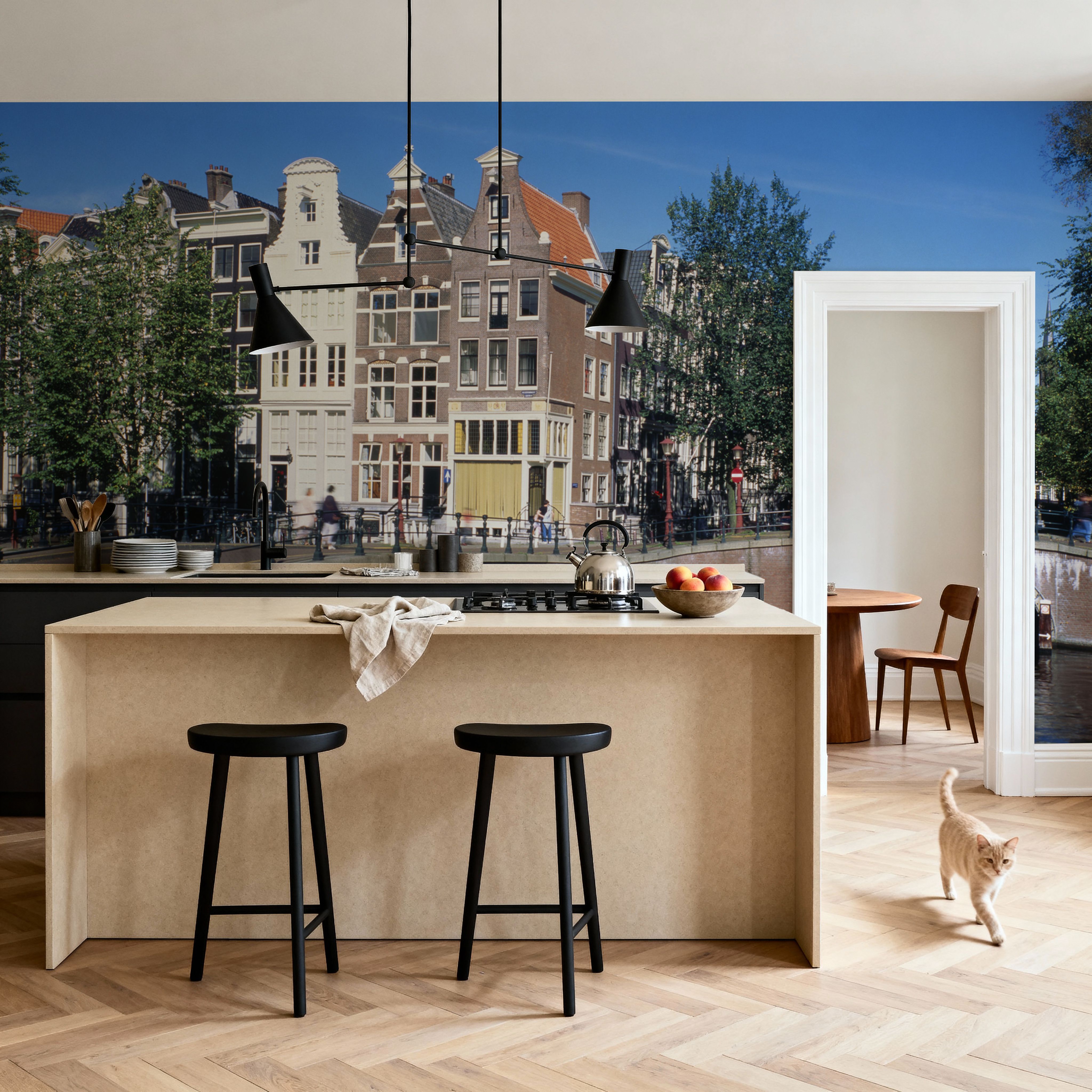 Amsterdam Canal Bridge