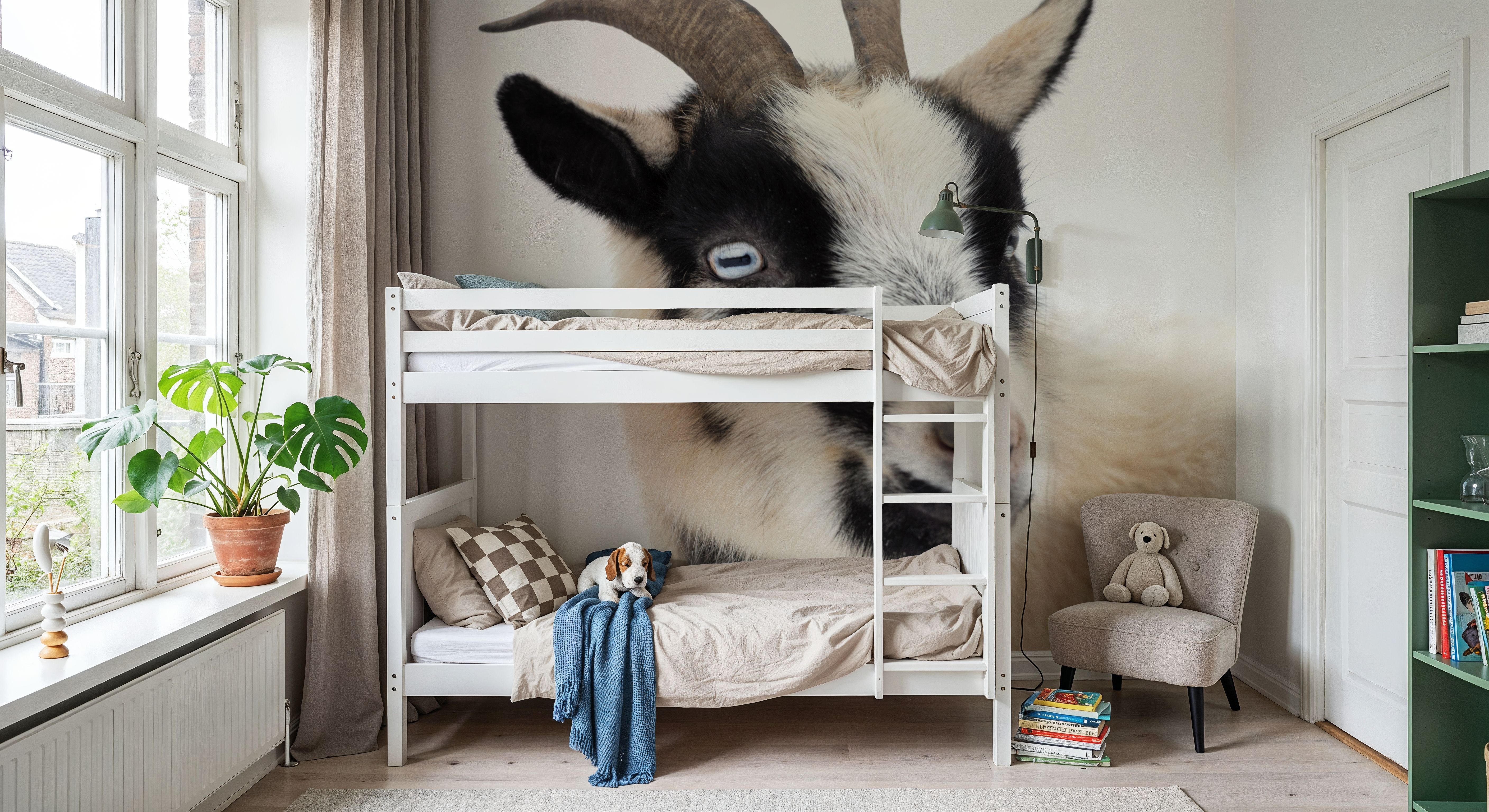 Pippa the Goat I