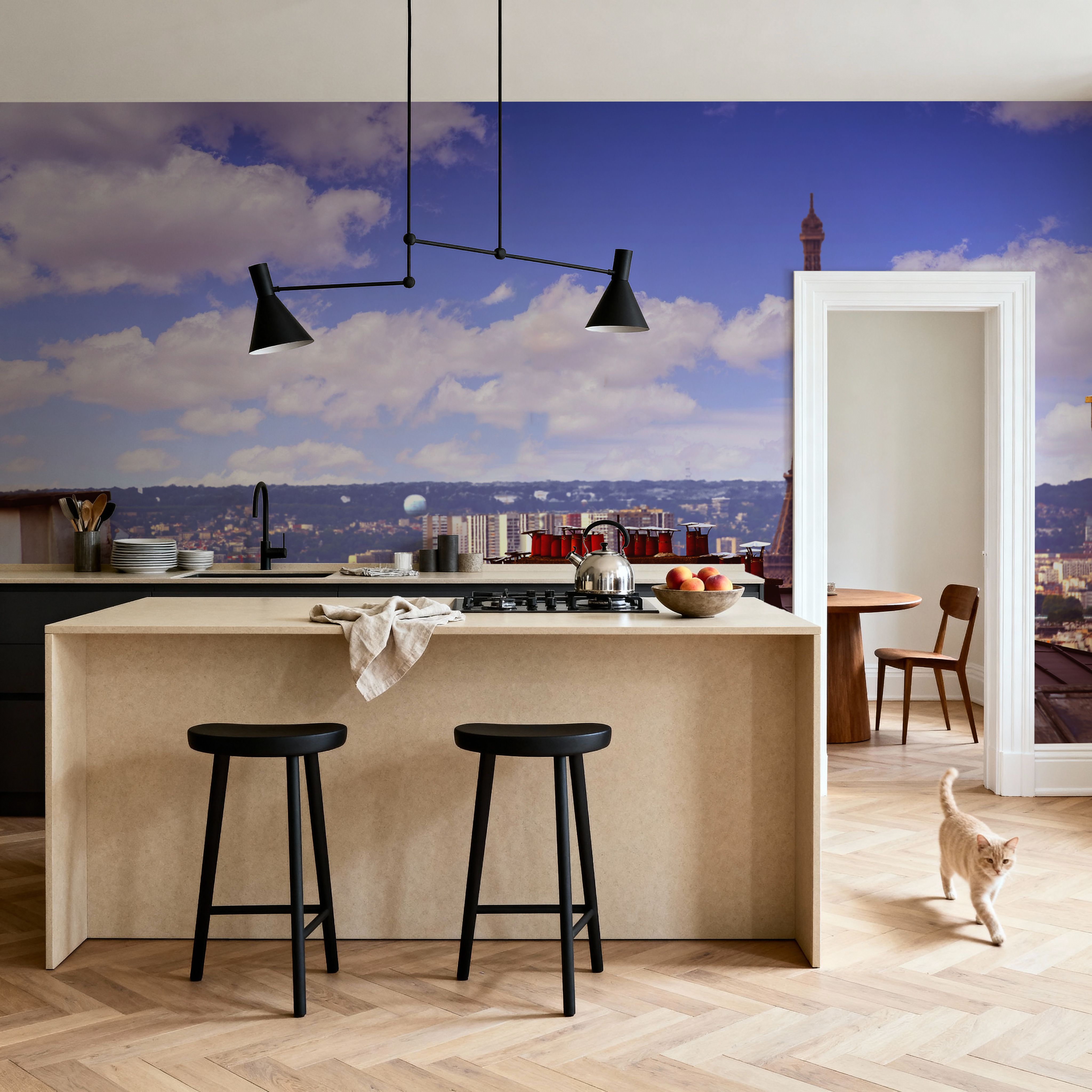 Parisian Rooftop Vista