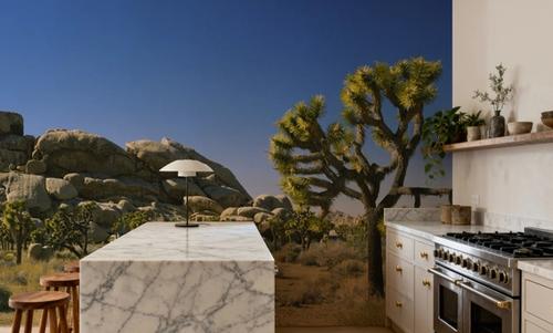 Desert Sentinel
