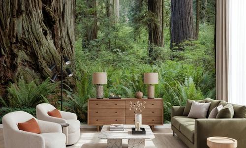 Ancient Fern Forest