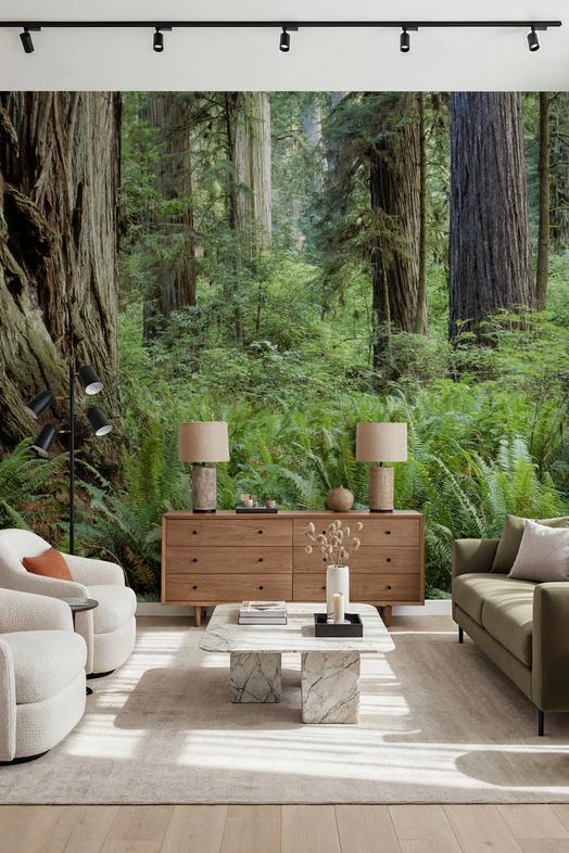 Ancient Fern Forest