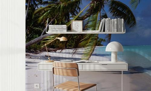 Paradise Shoreline