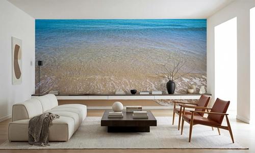 Shoreline Serenity