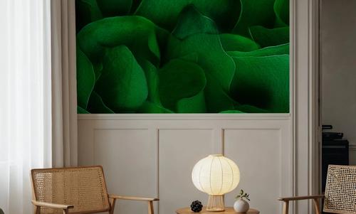 Green Cradle