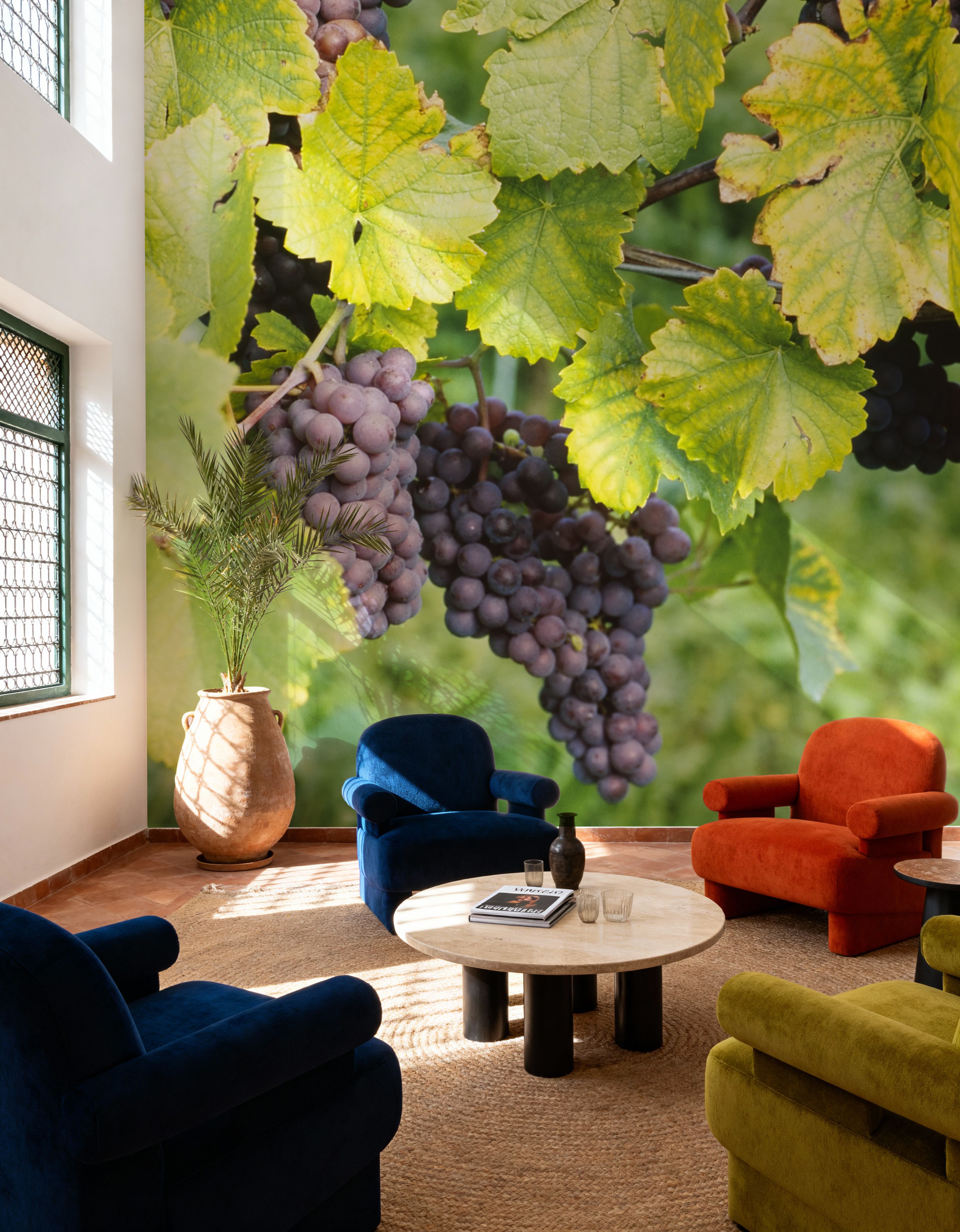 Vineyard Harvest