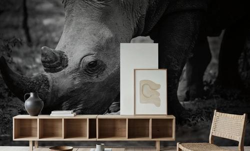 Rhino