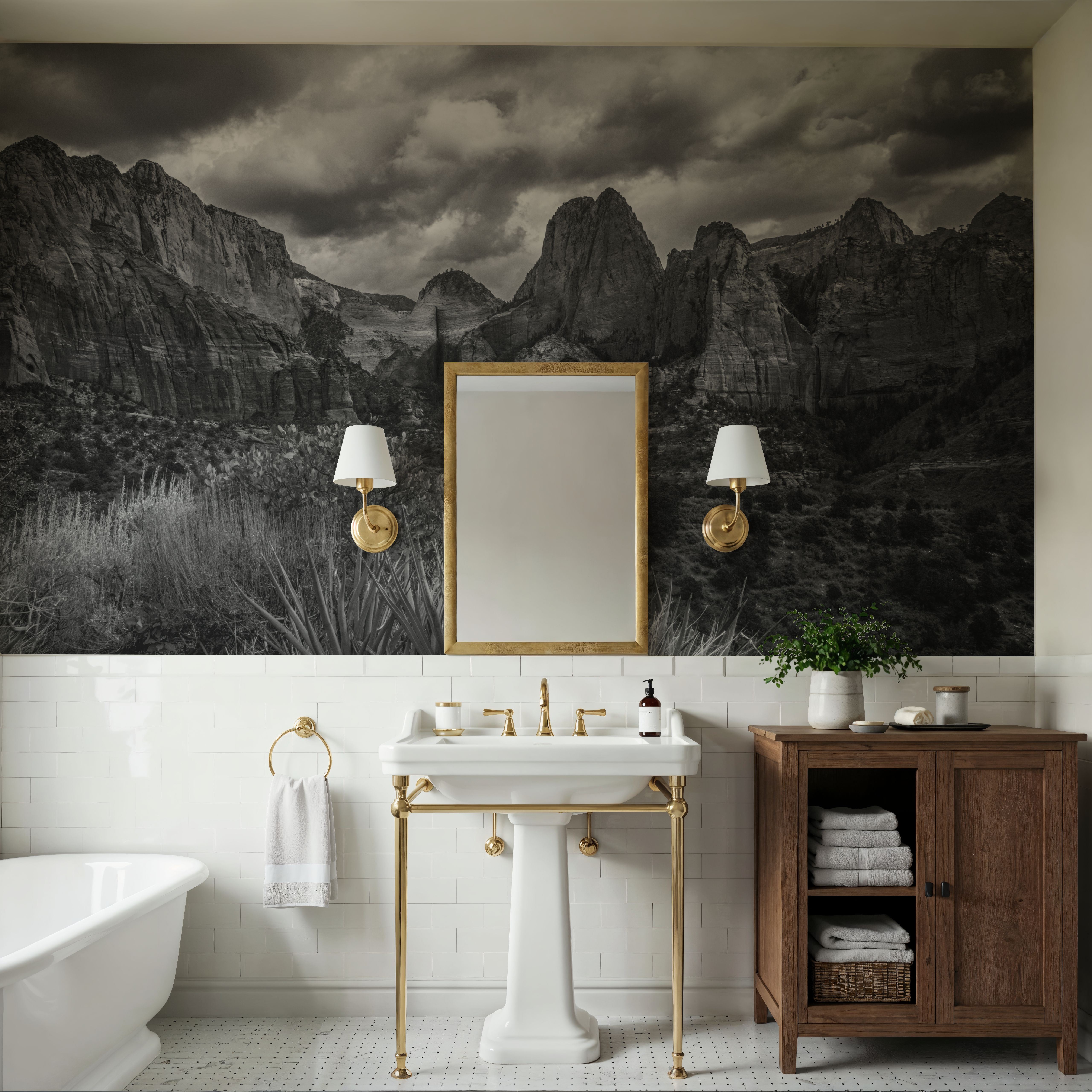 Zion National Park Storms BW