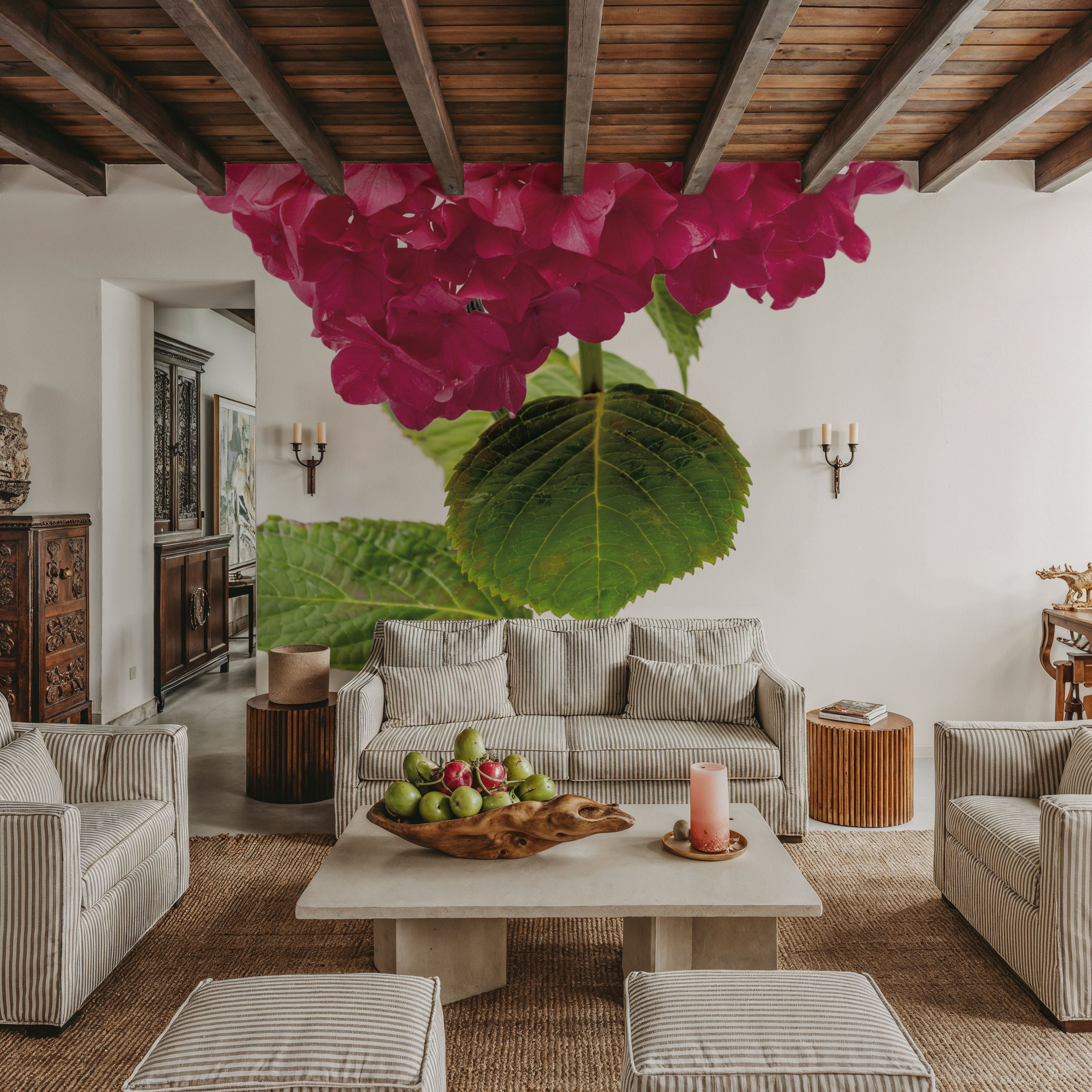 Providence Hydrangea II