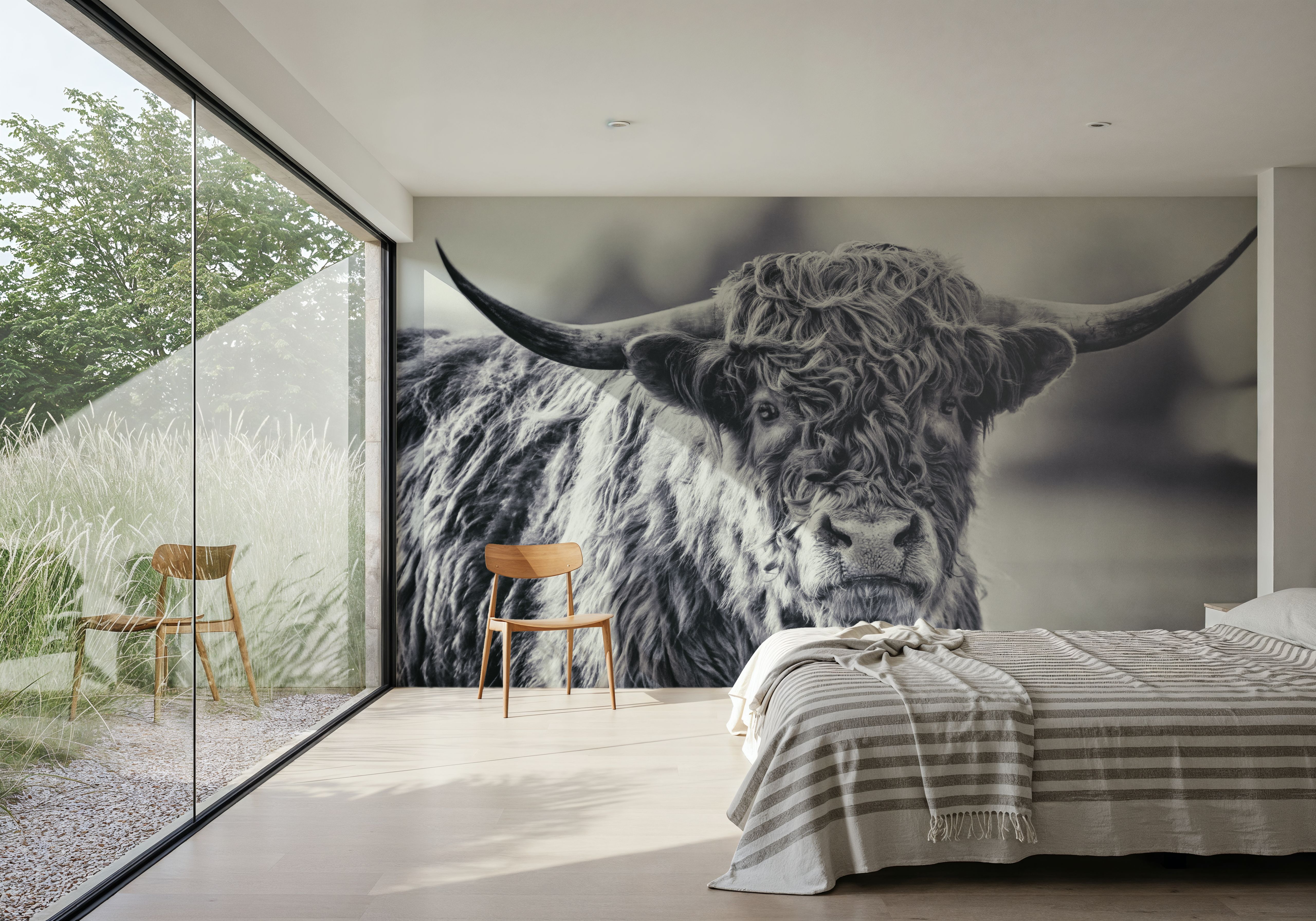 Highland Cow Pastures II