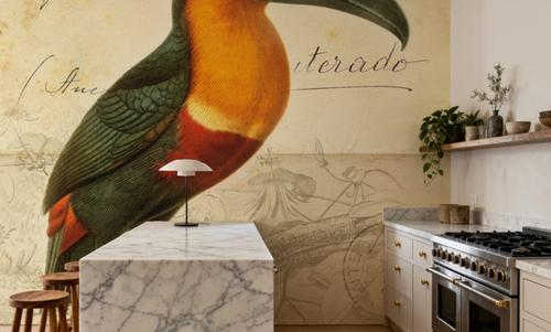 Pretty Bird I