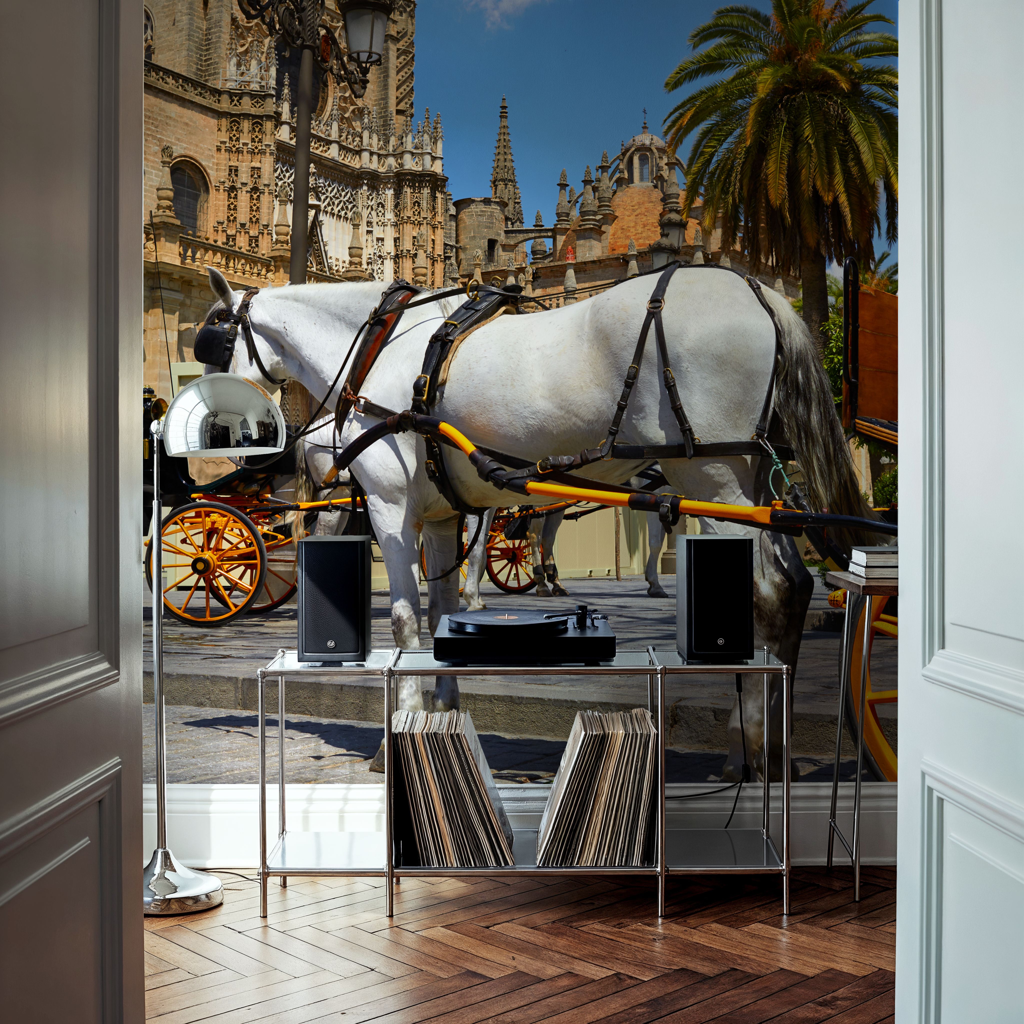Seville Horse Carriages