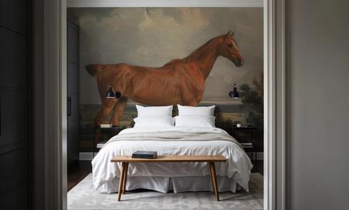 Horse in Landscape