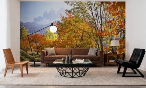 Autumn Mountain Glow