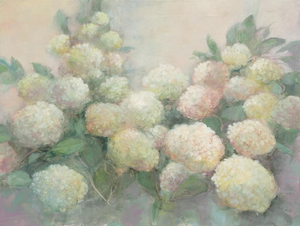 Annabelle Hydrangeas