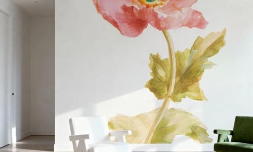 Garden Poppy on White